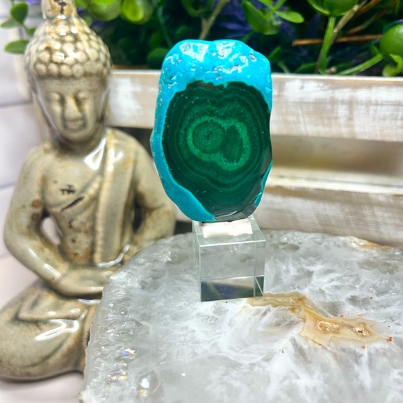 Polished Malachite and Chrysocolla Stalactite Slice From the Congo - Picture 1 of 4